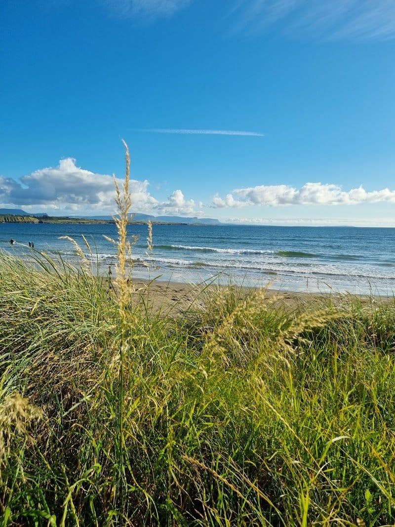 OM Saunas in Donegal, Ireland