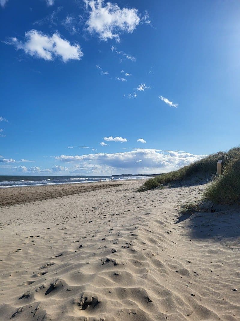 The Sweaty Horsebox Sauna in Wexford, Ireland